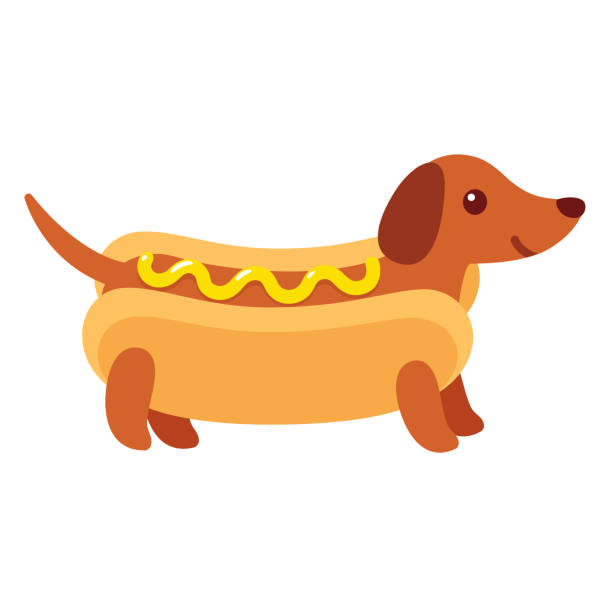 Hot dog dachshund puppy Dachshund puppy in hot dog bun with mustard, funny cartoon drawing. Cute Weiner dog vector illustration. vienna sausage stock illustrations