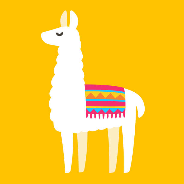 illustrations, cliparts, dessins animés et icônes de dessin de lama humoristique - lama