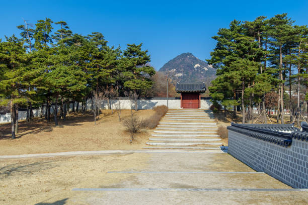 istock Beautiful view at Gyeongbok Palace 895879572