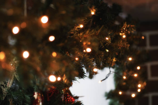 istock garland lights on fir tree branch blured background 895879692