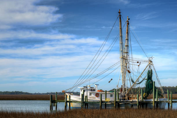 shrimp boat - barco de pesca de camarões imagens e fotografias de stock