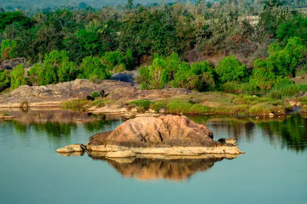 Photo of Panna river and rivebed at Panna National Park, Madhya Pradesh, India