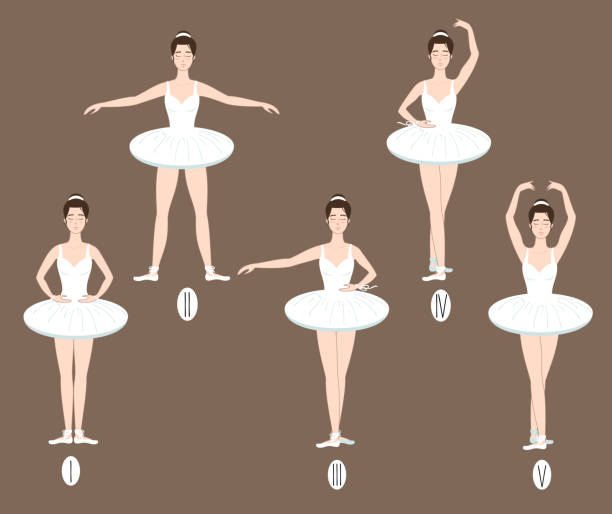 illustrazioni stock, clip art, cartoni animati e icone di tendenza di il giovane ballerino esegue le cinque posizioni di balletto di base, dimostrando il corretto posizionamento di braccia, gambe e piedi - 2nd base