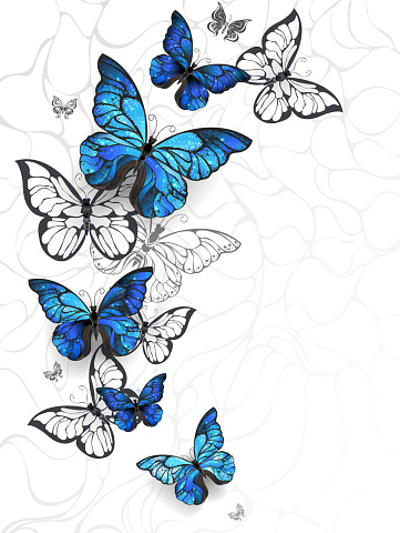 Flying Blue Butterflies morpho and white butterflies on a light abstract background. Morpho. Design with blue butterflies morpho.