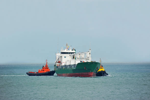 istock Tugboat assisting refrigerated cargo carrier 895931080