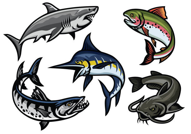 ilustrações, clipart, desenhos animados e ícones de conjunto de ilustração de peixe na cor - catfish fish fishing fishing hook