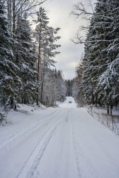 istock A road in the winter forest 895949296