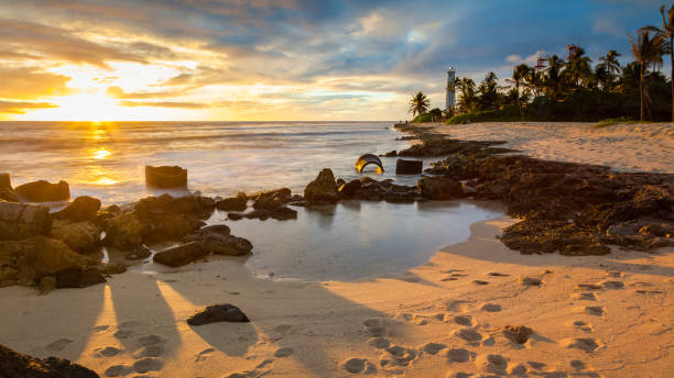 barbeiros ponto farol do sol seascape - building exterior hawaii islands palm tree beach - fotografias e filmes do acervo