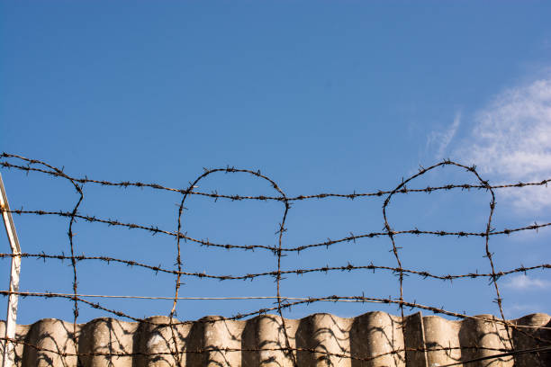 istock barbed fence  for protection purposes 895960288