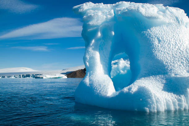 istock Brown Bluff, melting icebergs along coastline 895966936