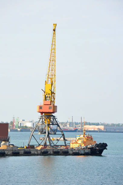 istock Tugboat and port cargo crane 895969888