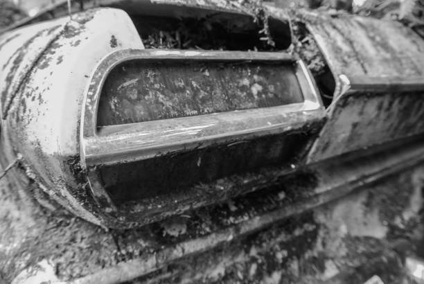 istock Black and white tail light of an abandoned car 895974818