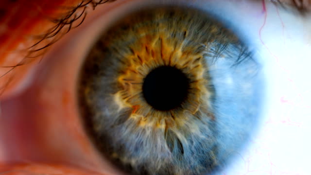 Extreme close up human eye iris