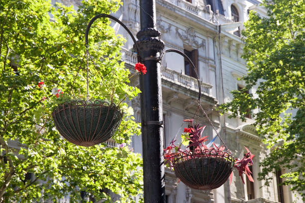 istock Decorations in Buenos Aires, Argentina 895988714
