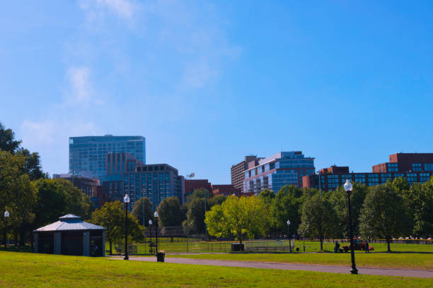 istock Boston USA Public Garden 895997208