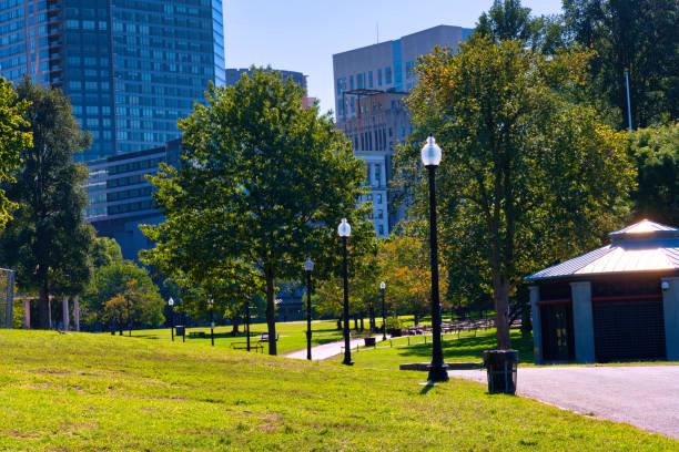 istock Boston USA Public Garden 895997248