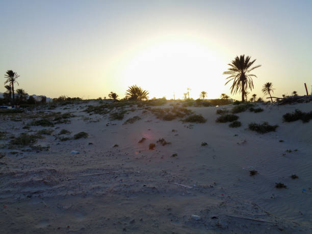 istock Landscape of Tunisia 896004454