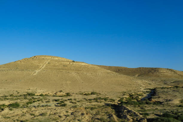 istock Landscape of Tunisia 896008322