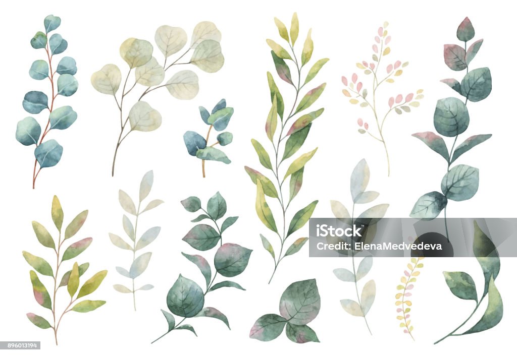 Hand drawn vector watercolor set of herbs, wildflowers and spices. - Royalty-free Pintura em Aquarela arte vetorial