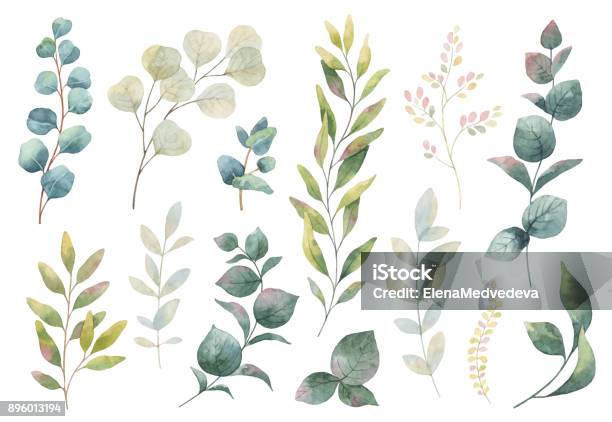 Hand Drawn Vector Watercolor Set Of Herbs Wildflowers And Spices - Arte vetorial de stock e mais imagens de Pintura em Aquarela