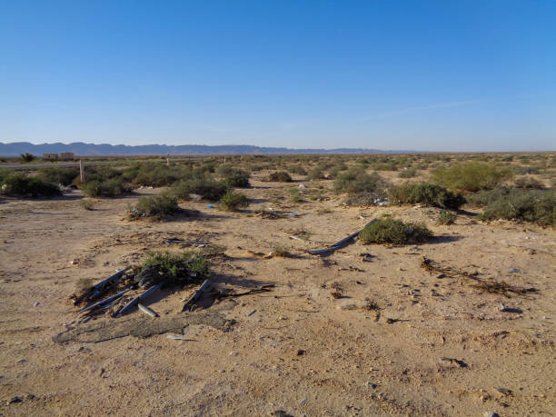 istock Landscape of Tunisia 896013270