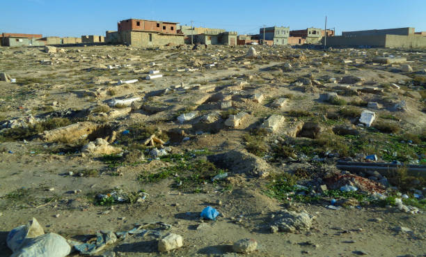 istock Landscape of Tunisia 896013374