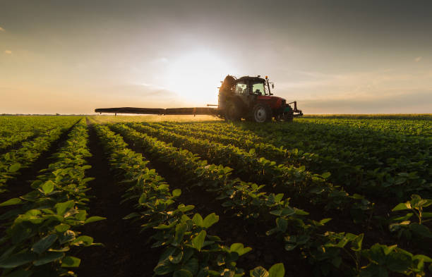 istock Tractor spraying pesticides on soybean field  with sprayer at spring 896013530