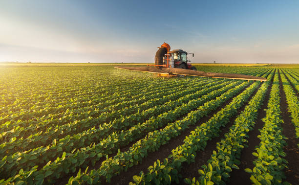 traktor sprüht pestizide auf sojabohnenfeld mit spritzer im frühjahr - plantage stock-fotos und bilder