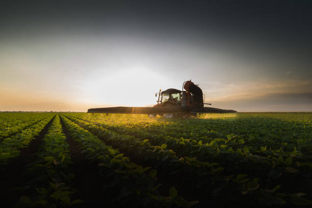 istock Tractor spraying pesticides on soybean field  with sprayer at spring 896013702