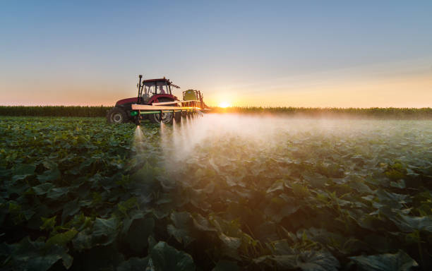 trator de pulverização de pesticidas em campo de soja com pulverizador - spraying crop sprayer farm agriculture - fotografias e filmes do acervo