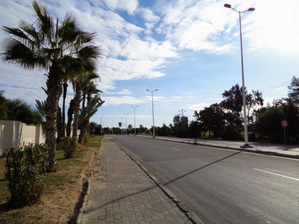 istock Landscape of Tunisia 896016284