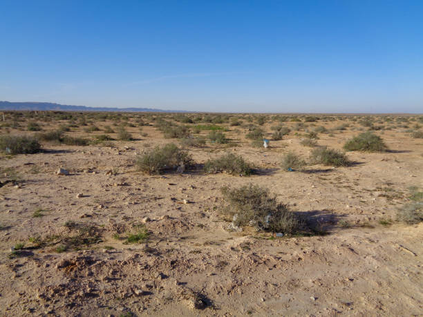 istock Landscape of Tunisia 896018944
