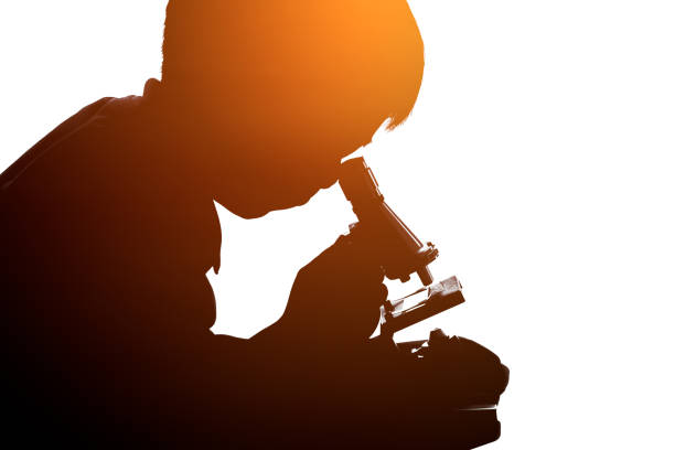 Child observed through a microscope biological preparations. stock photo
