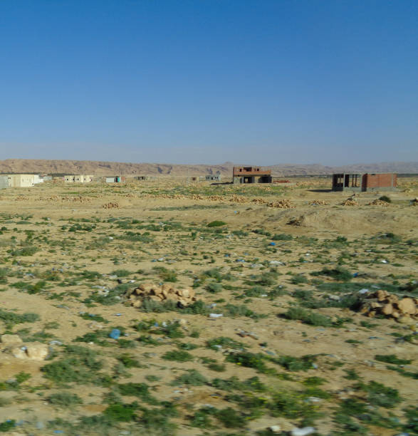 istock Landscape of Tunisia 896025350