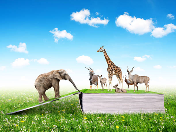 istock Open book of nature with animals. 896025408