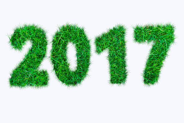 istock 2017 alphabet number from green grass on white background. 896031516