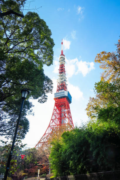 istock Visiting Tokyo in Japan 896039354