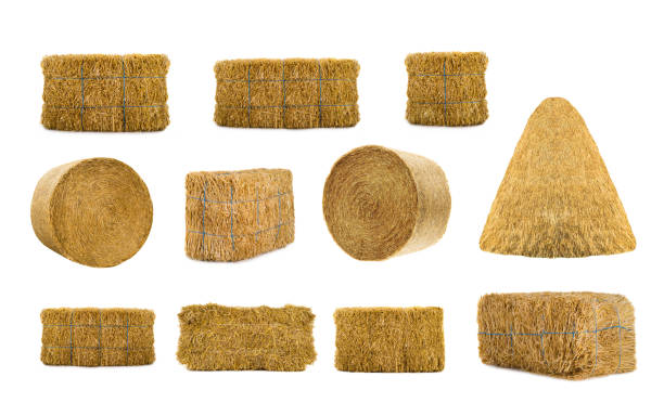 variety by hays variety by hays isolated on a white background bale photos stock pictures, royalty-free photos & images