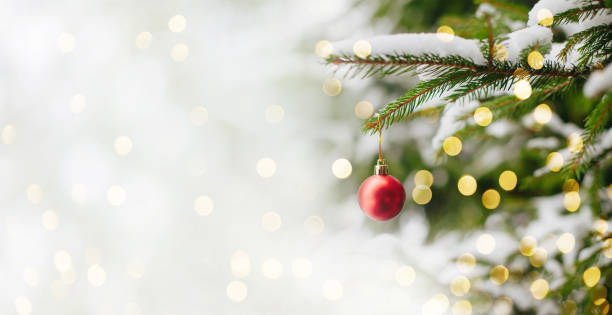 Christmas and New years eve Background Beautiful Christmas and New years eve Background with Christmas red ball hanging on fir tree branches. Holiday greeting and invitation card with copy space. Wide screen Web banner or flyer evergreen tree photos stock pictures, royalty-free photos & images