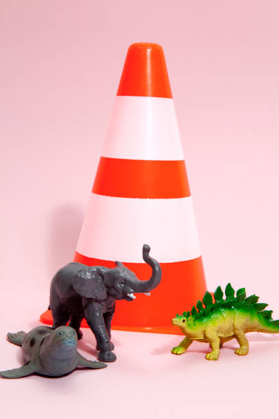 istock figurine animals beside a traffic cone 896080326