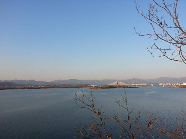 istock Water lake behind trees in autumn 896083550