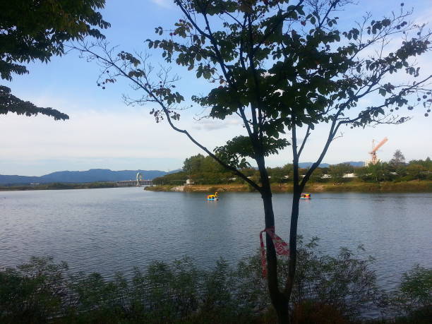istock Water lake behind trees in autumn 896083618