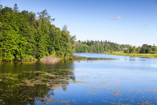 istock Oredezh River, summer landscape. Russia 896094056