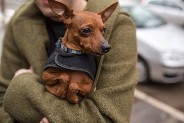istock Me and my dog on the street 896100848