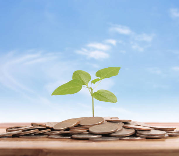 istock graph money coins stock finance 896148794