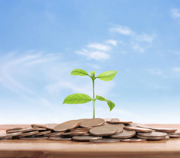 istock graph money coins stock finance 896148796