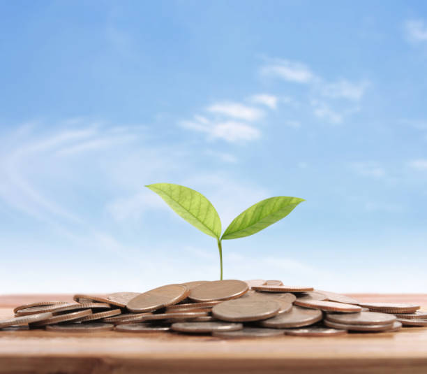 istock graph money coins stock finance 896148800
