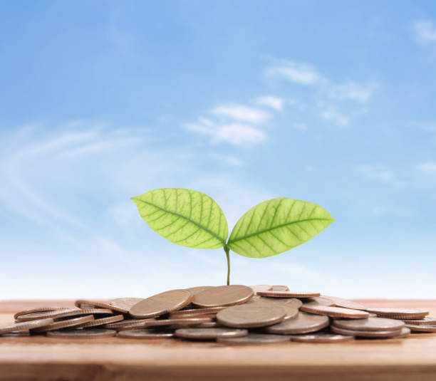 istock graph money coins stock finance 896148802