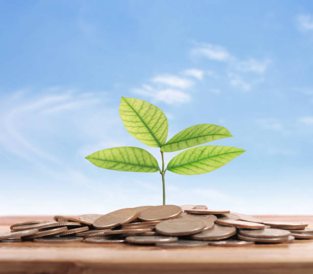 istock graph money coins stock finance 896148806