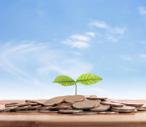 istock graph money coins stock finance 896148812